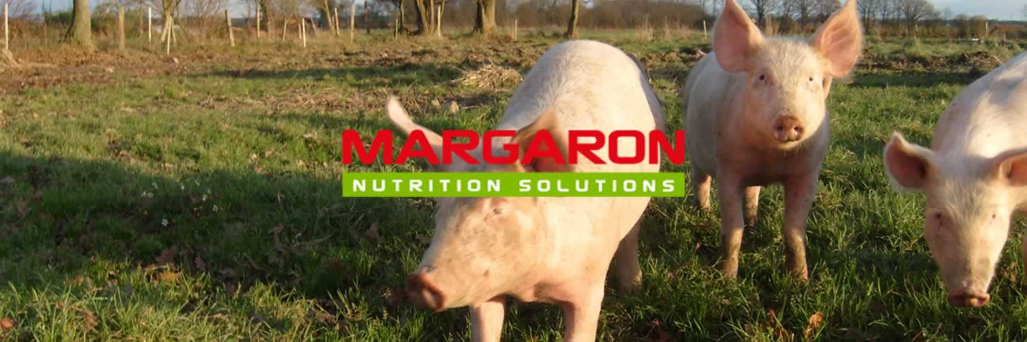 Optez pour la sécurité avec Margaron, l'alimentation animale performante.