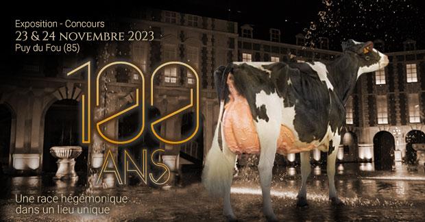Concours de race Prim’Holstein au Puy du Fou 2023