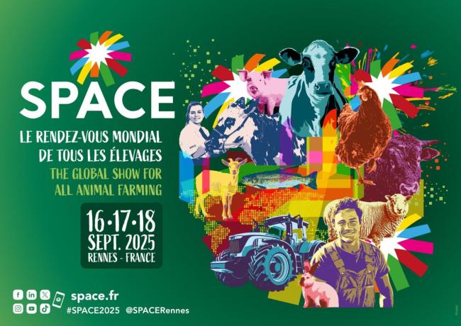 SPACE 2025