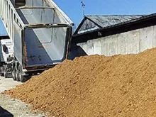 Wheat Feed Frais
